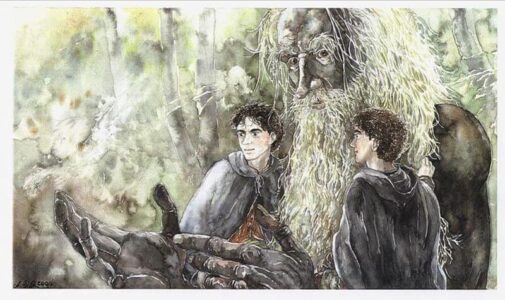 Treebeard © Anke Eißmann