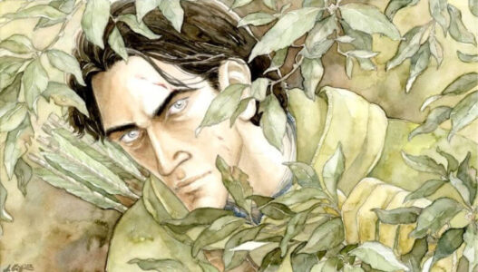 Faramir © Anke Eißmann