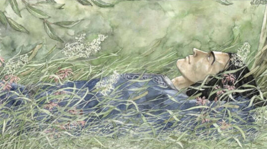 Voronwë in Nan-tathren - Version 2 Voronwë in Nan-tathren - Version 2 © Anke Eißmann