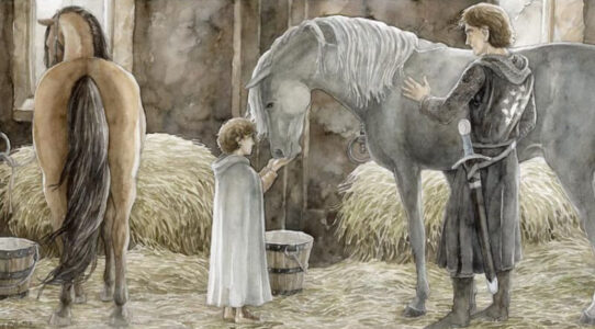 Visiting Shadowfax © Anke Eißmann