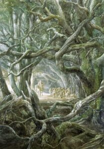 Well here is Mirkwood said Gandalf © Alan Lee