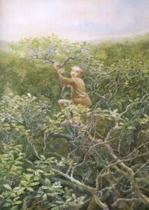 Gaze as much as he might he could see no end to the trees © Alan Lee