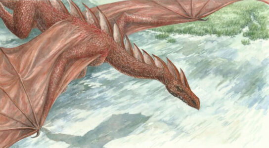 Smaug over the Long Lake © Anke Eißmann