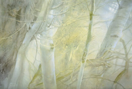 Treebeard Treebeard © John Howe